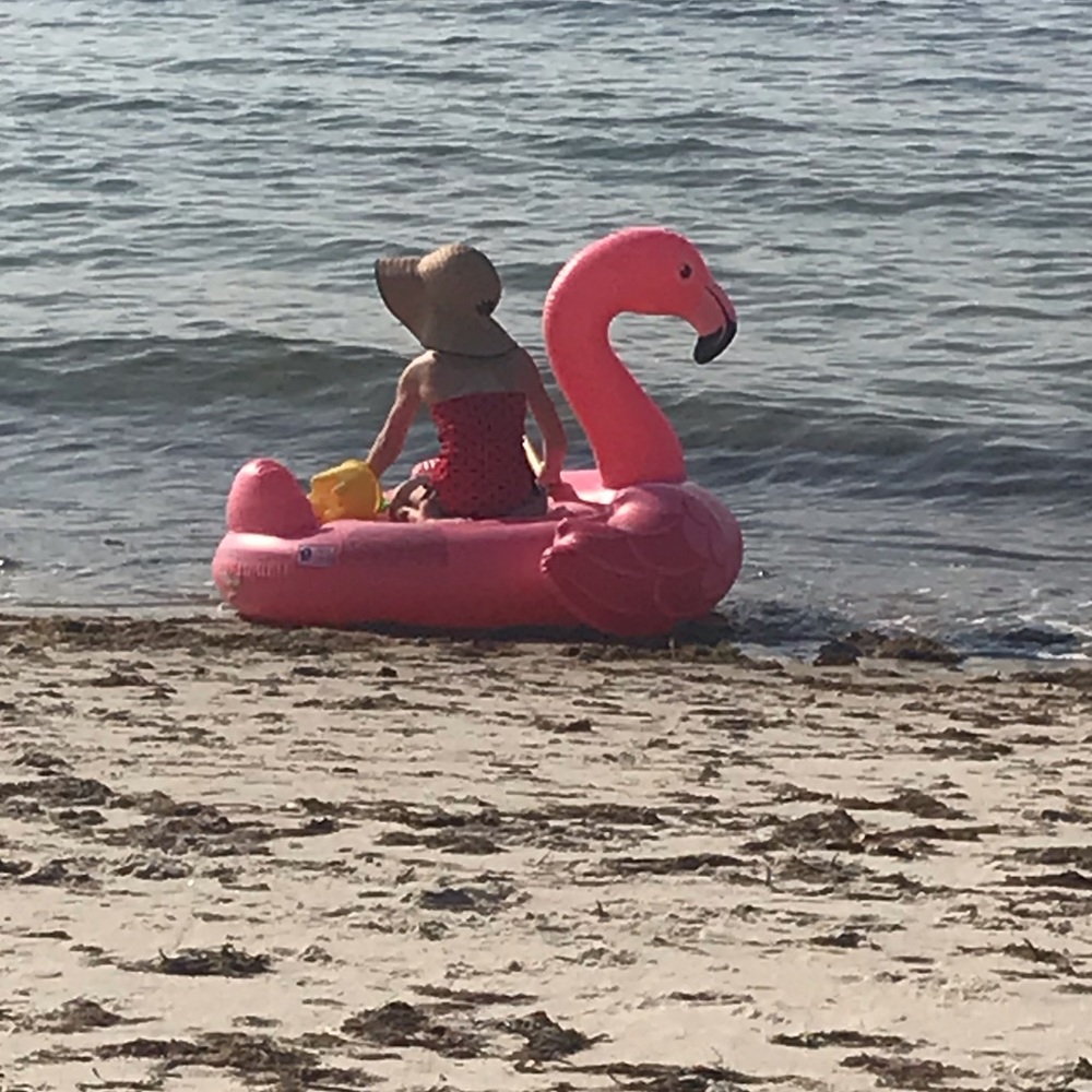 Meet your Posher, Erin